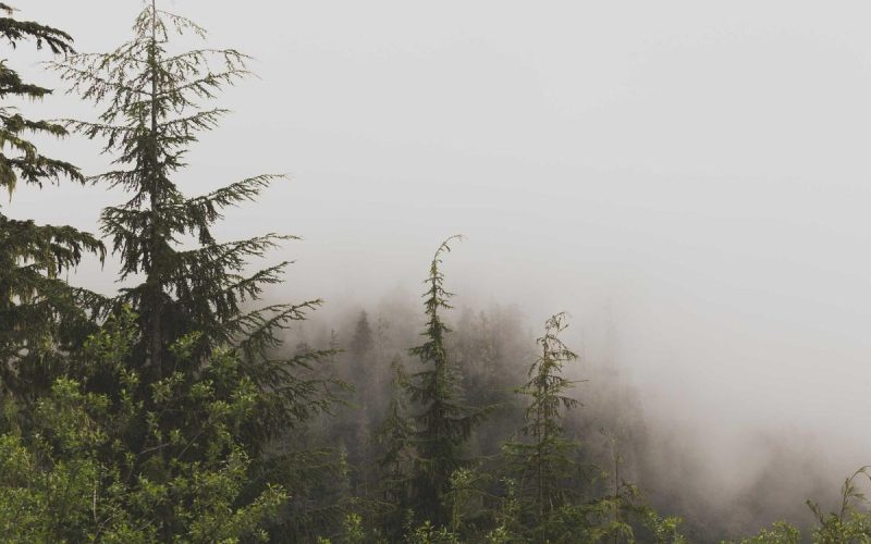 The Slow Web Is Not a Nostalgia Project